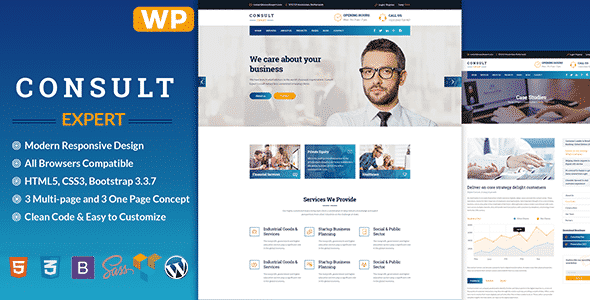 Consult Expert – Consulting